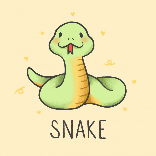 a cute snake!